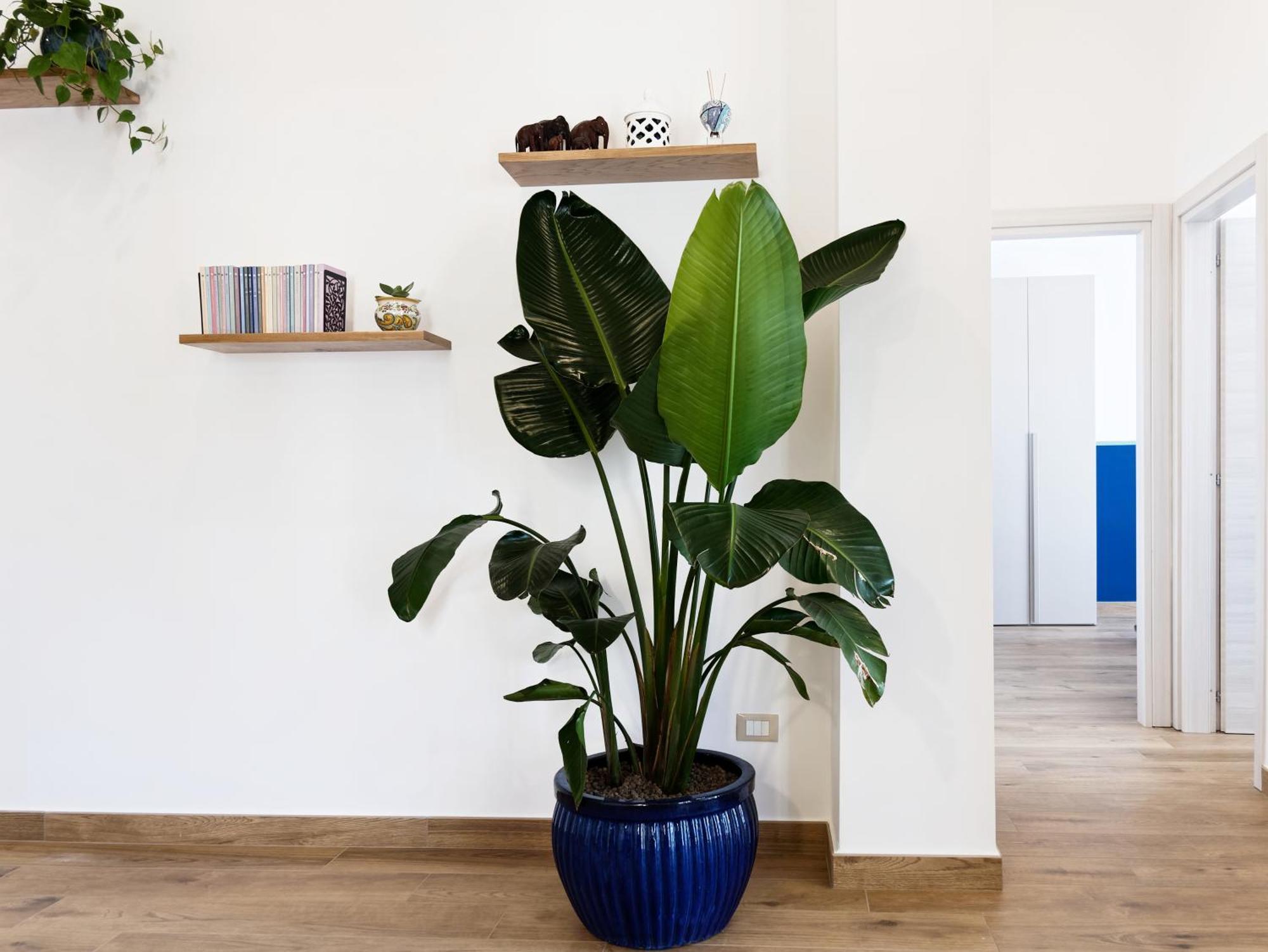 Susanna Boutique Home Vico Equense Buitenkant foto