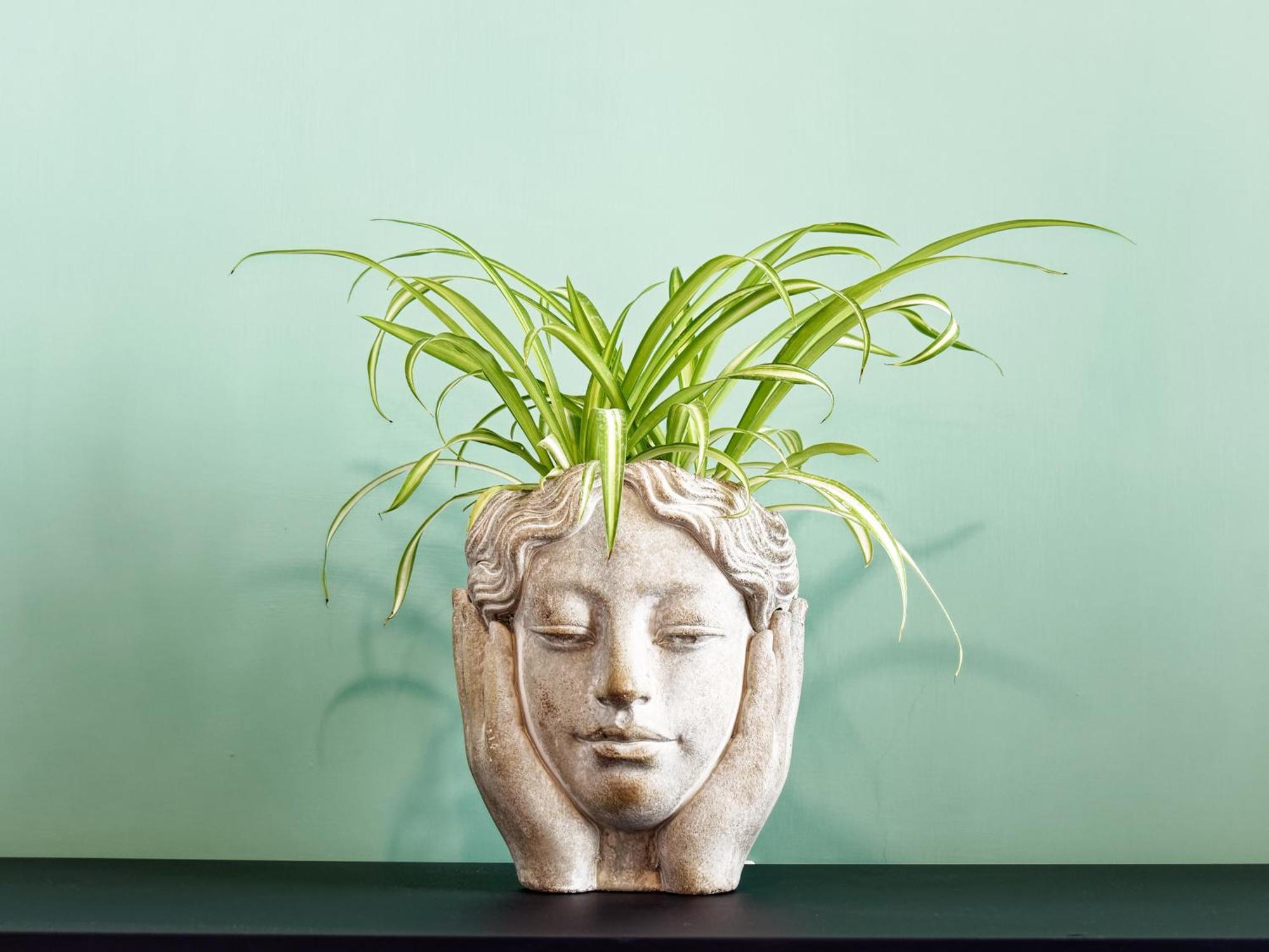 Susanna Boutique Home Vico Equense Buitenkant foto