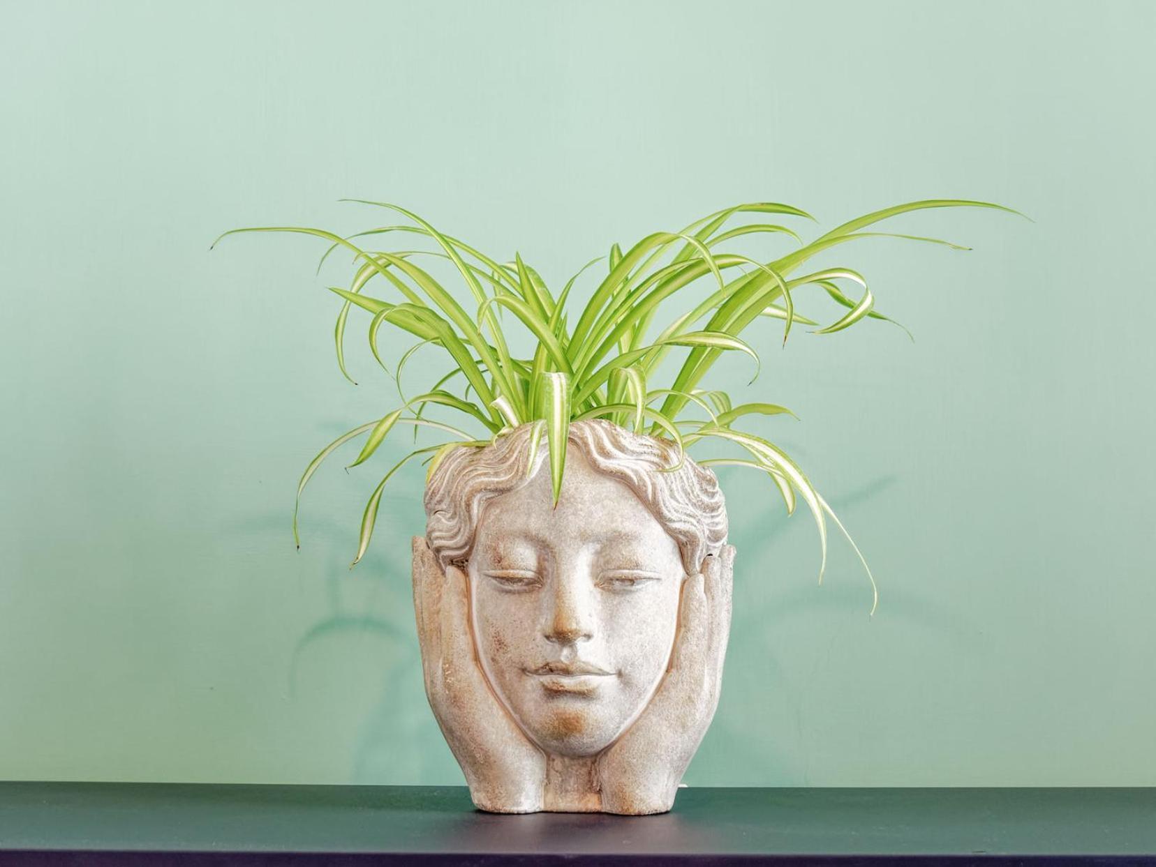 Susanna Boutique Home Vico Equense Buitenkant foto
