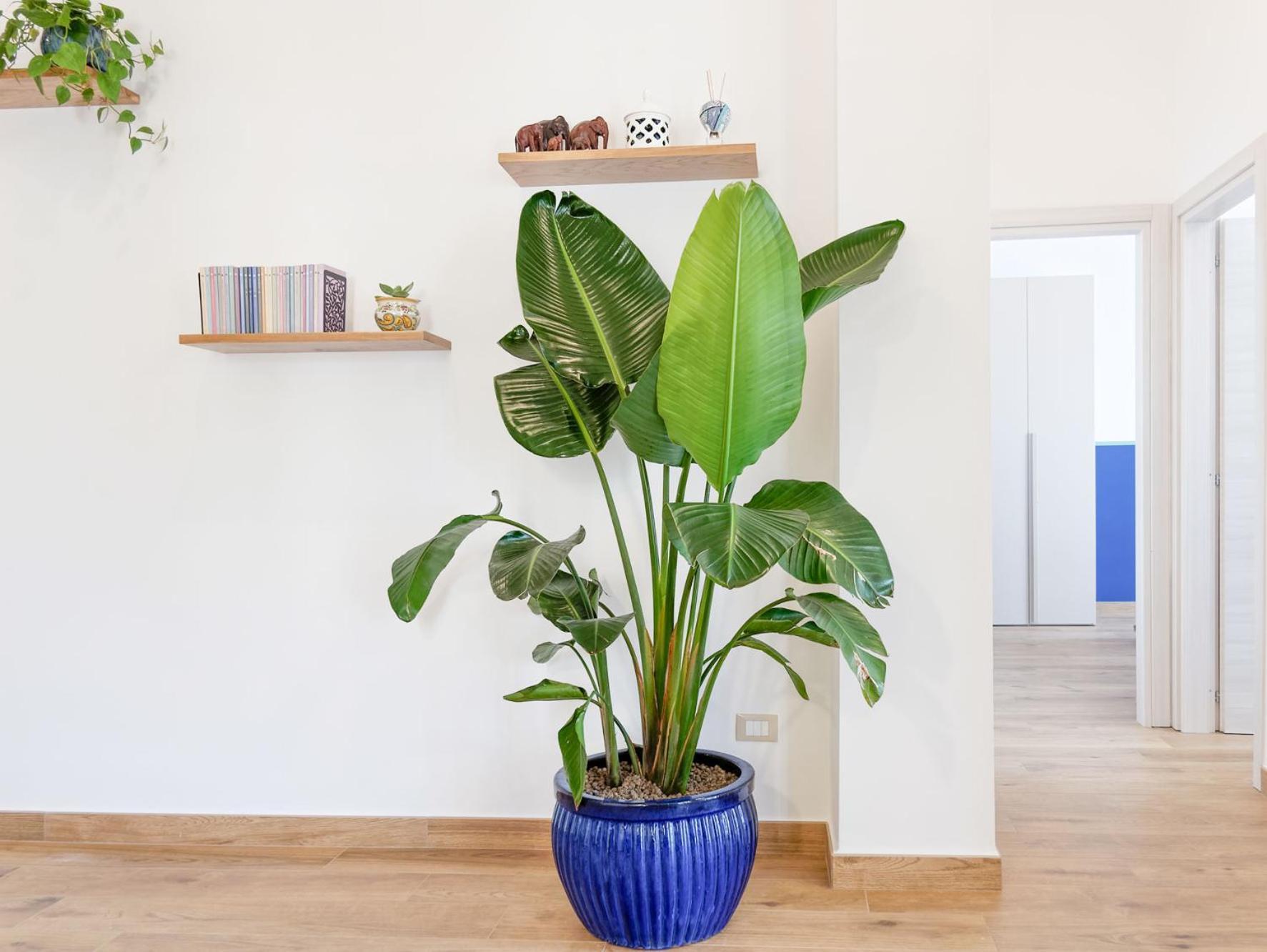 Susanna Boutique Home Vico Equense Buitenkant foto